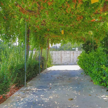 Aphrodite Finiki * Polis