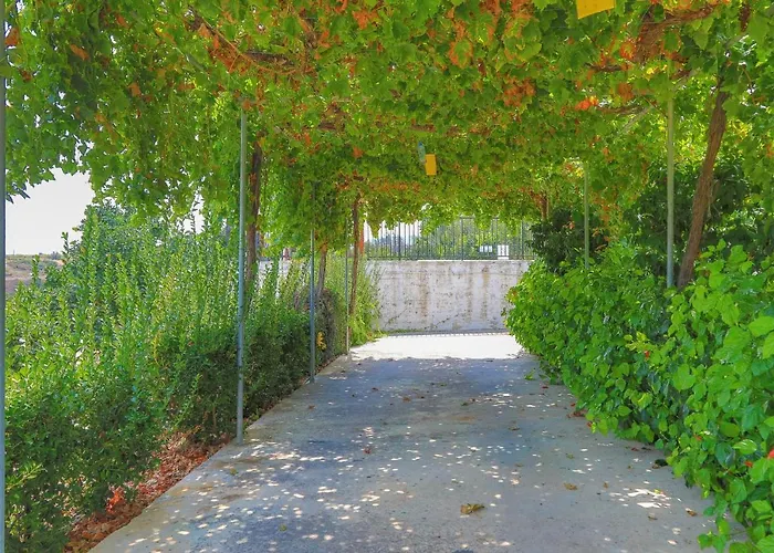 Aphrodite Finiki * Polis