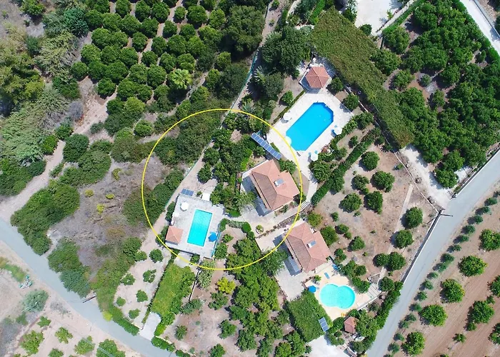 Aphrodite Finiki Polis